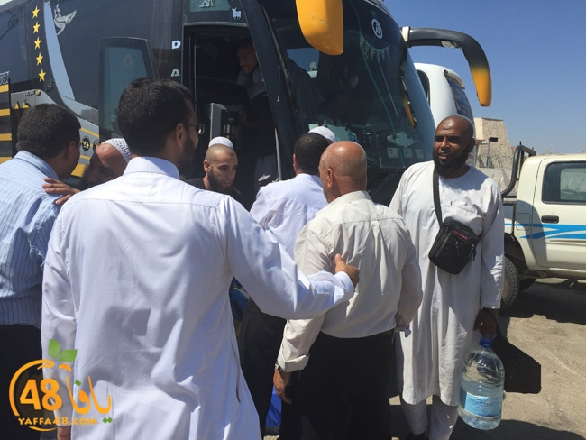 lud mo3tmreajn (11).jpg